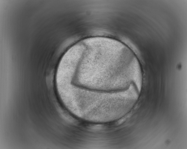X0000100400058200807032023