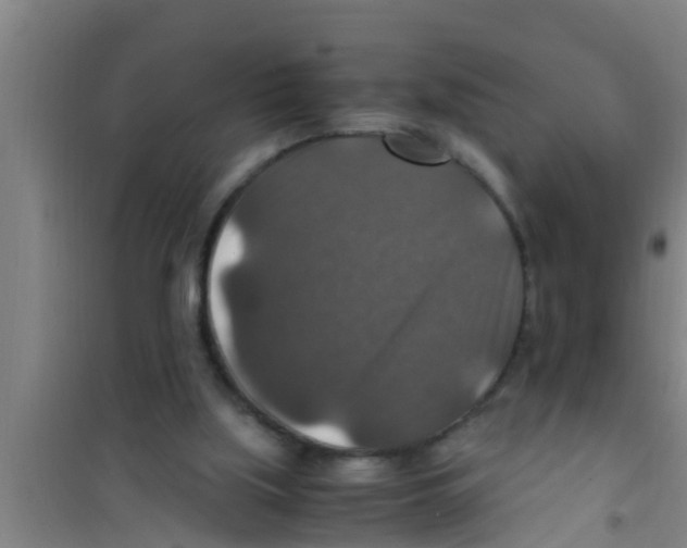 X0000100400059200807032023
