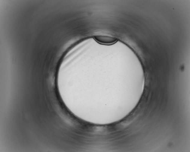 X0000100400060200807032023