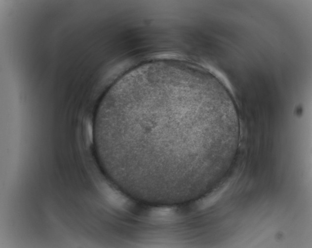 X0000100400061200807032023