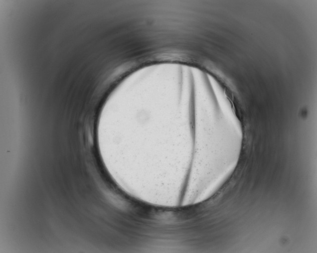 X0000100400062200807032023