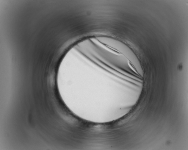 X0000100400064200807032023