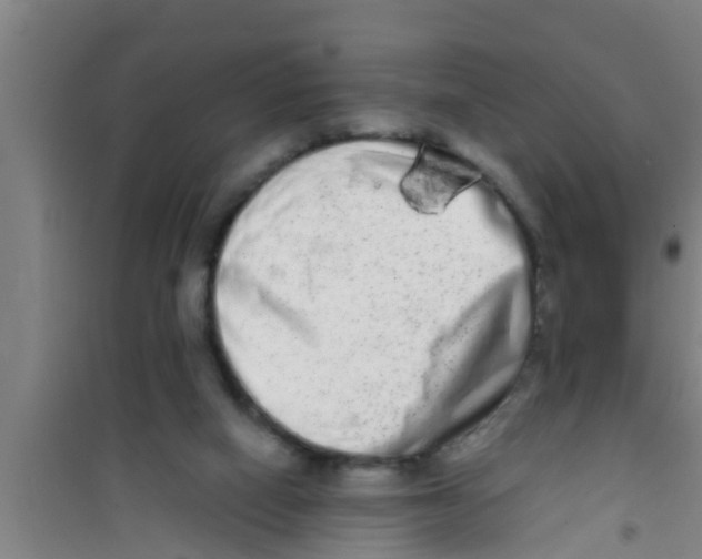 X0000100400066200807032024