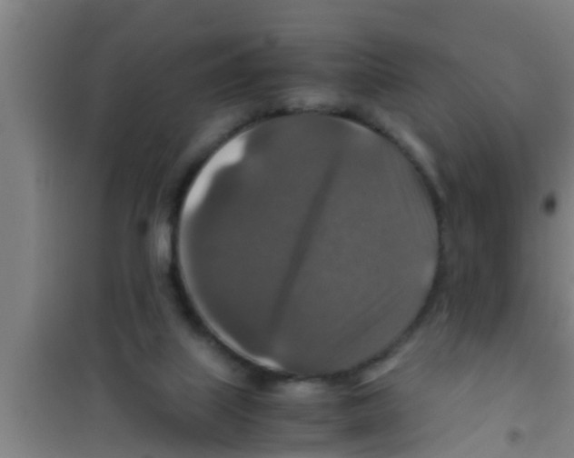 X0000100400067200807032024