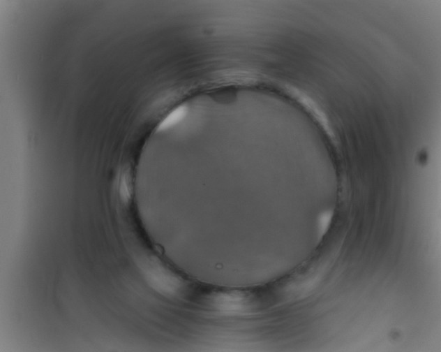 X0000100400069200807032024