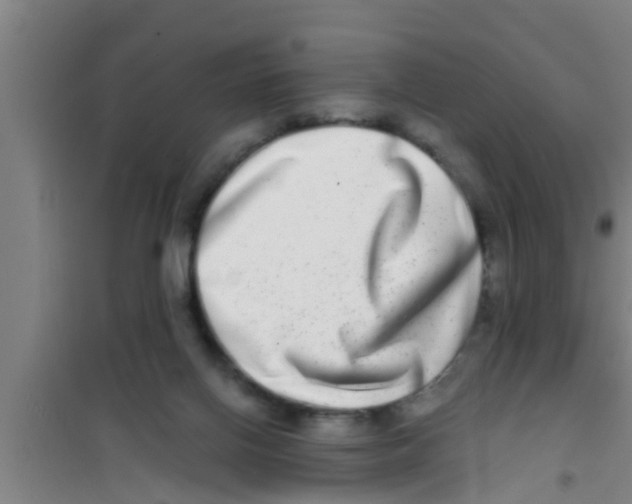 X0000100400070200807032024