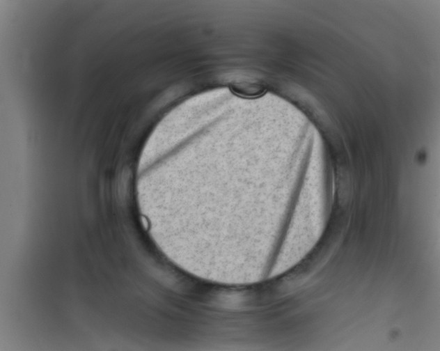 X0000100400071200807032024