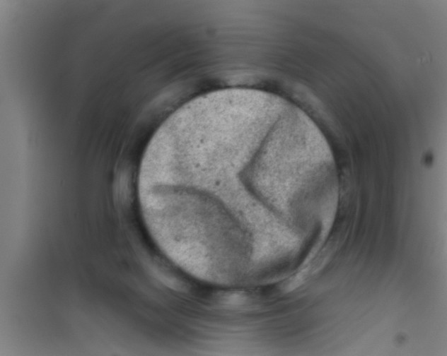 X0000100400074200807032024