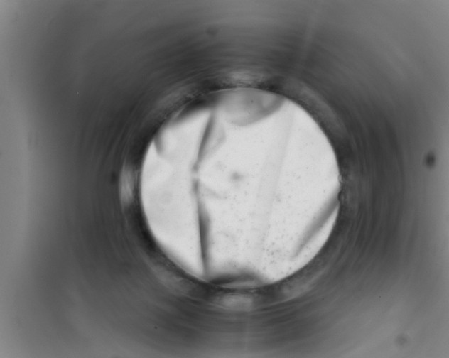 X0000100400075200807032024