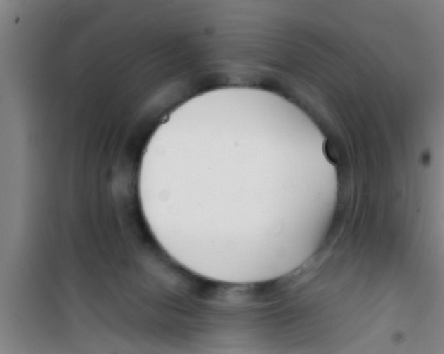 X0000100400078200807032024
