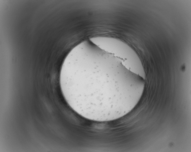 X0000100400079200807032024