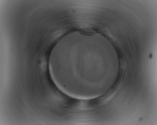 X0000100400080200807032024