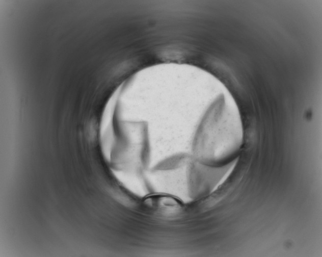 X0000100400081200807032024