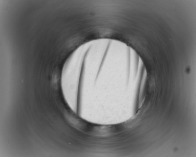 X0000100400082200807032024