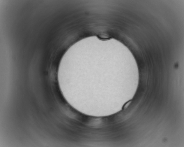 X0000100400083200807032024