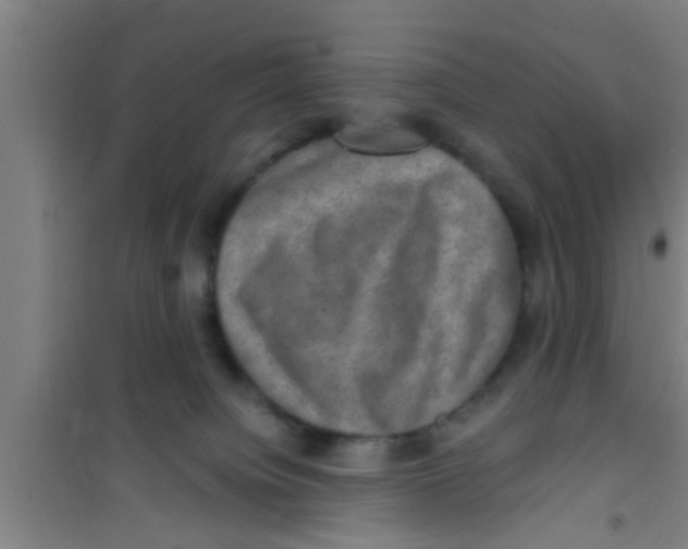 X0000100400084200807032024