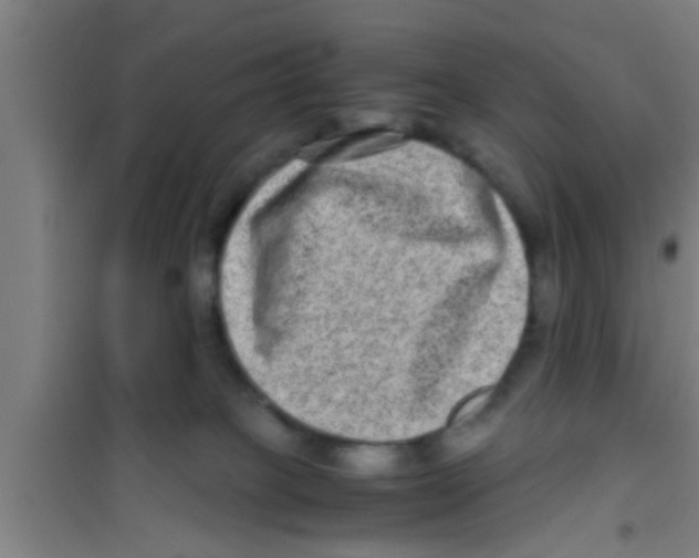 X0000100400085200807032024
