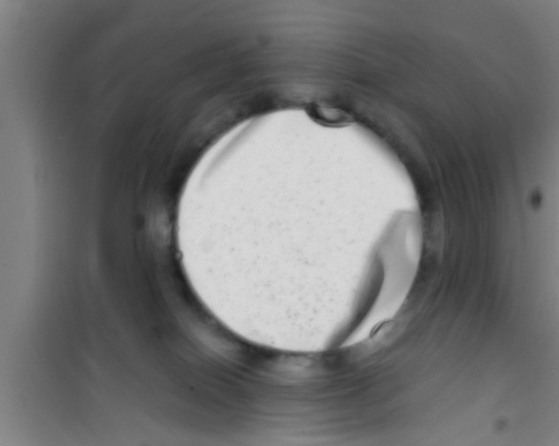 X0000100400086200807032024