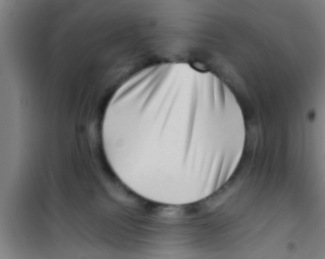 X0000100400088200807032024