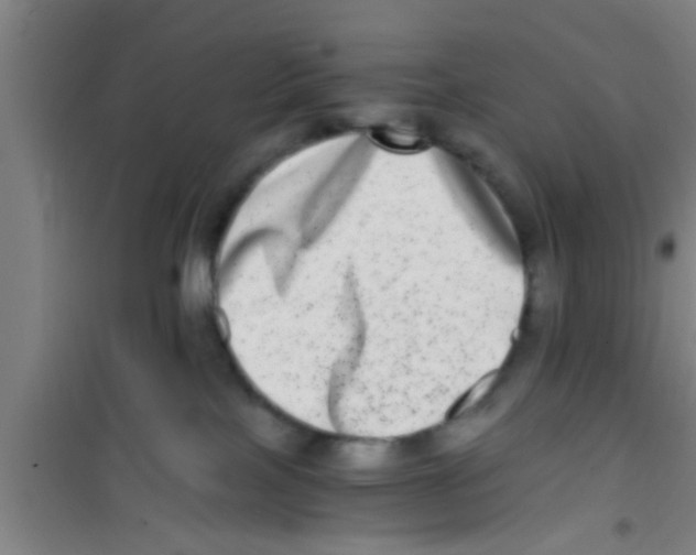 X0000100400089200807032024