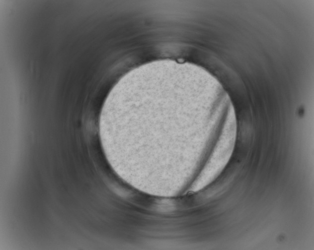 X0000100400091200807032024
