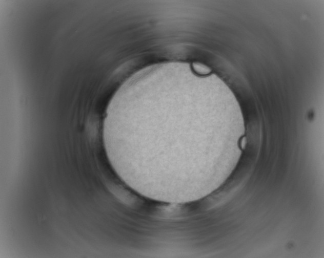 X0000100400092200807032024