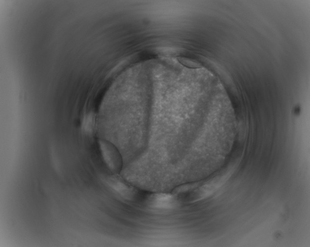 X0000100400093200807032024
