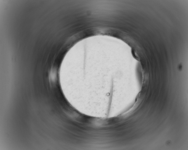 X0000100400094200807032024