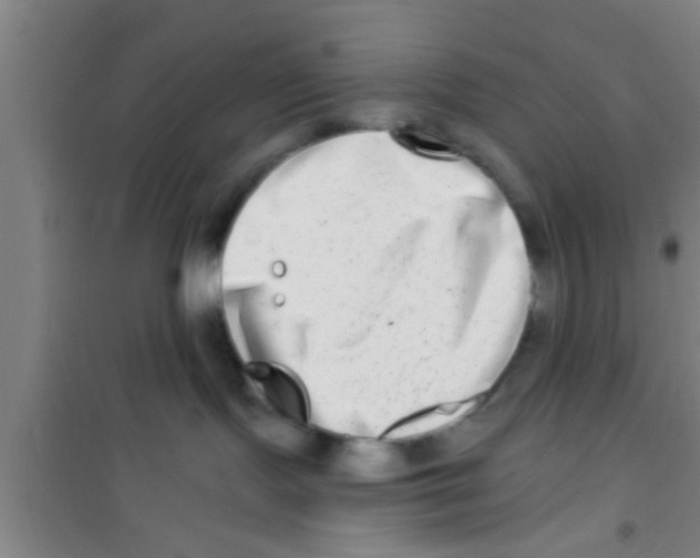 X0000100400095200807032024