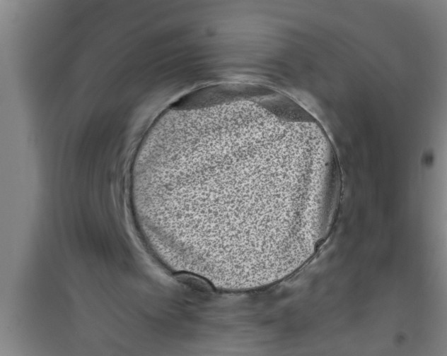 X0000100400097200807032023