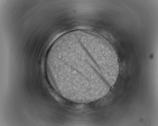 X0000100400098200807032023