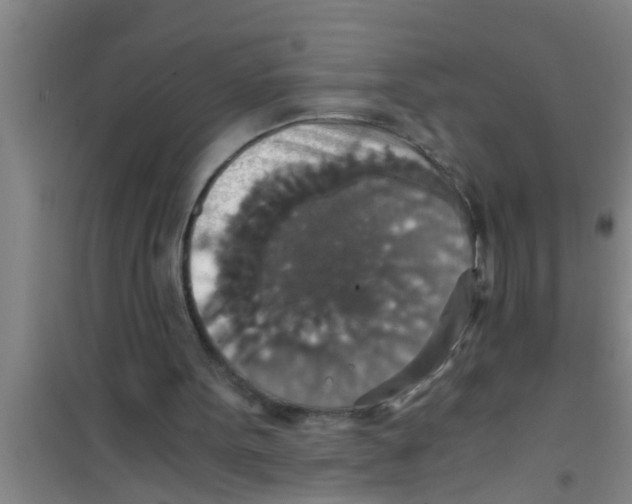 X0000100400099200807032023