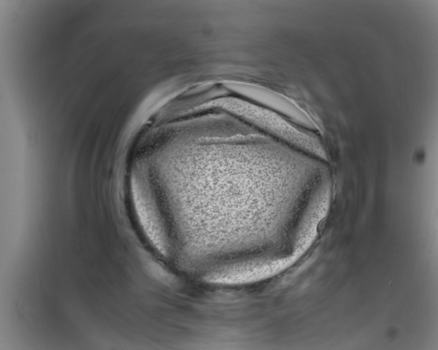 X0000100400101200807032023