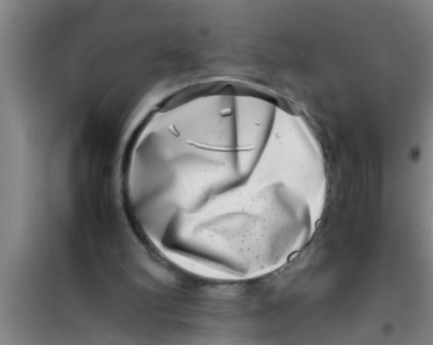 X0000100400102200807032023