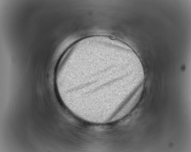 X0000100400103200807032023