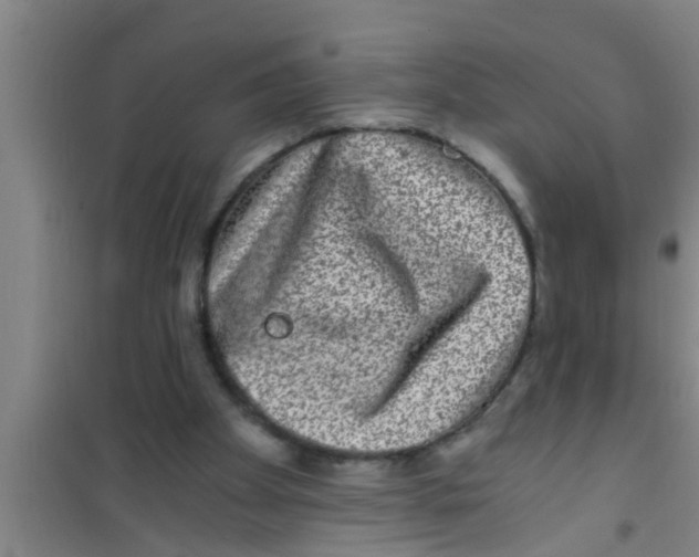 X0000100400105200807032023