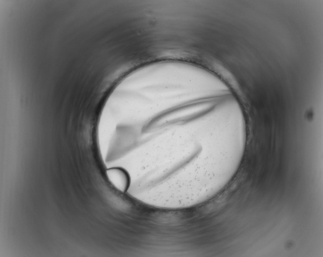 X0000100400106200807032023