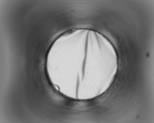 X0000100400107200807032023