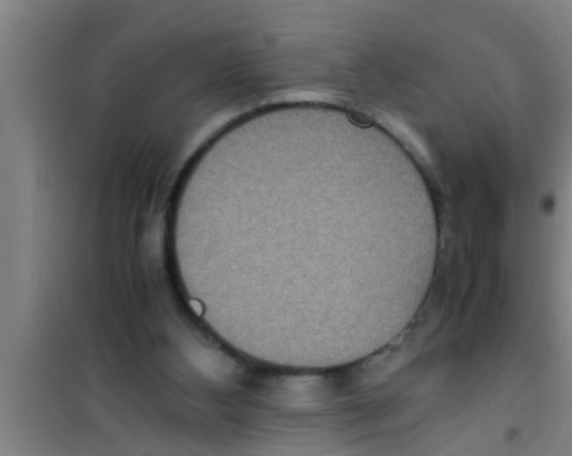 X0000100400108200807032023
