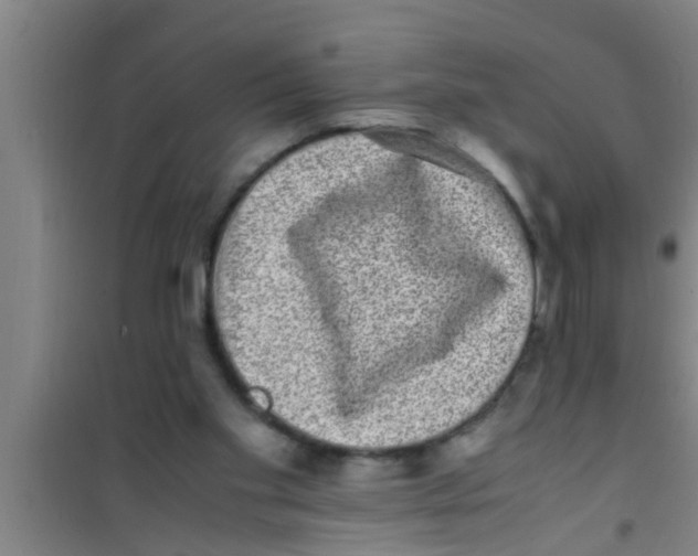 X0000100400109200807032023