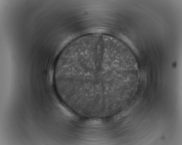 X0000100400110200807032023