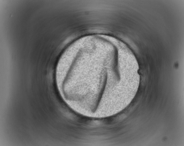 X0000100400111200807032023