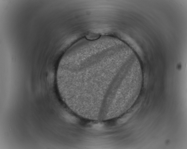 X0000100400113200807032023