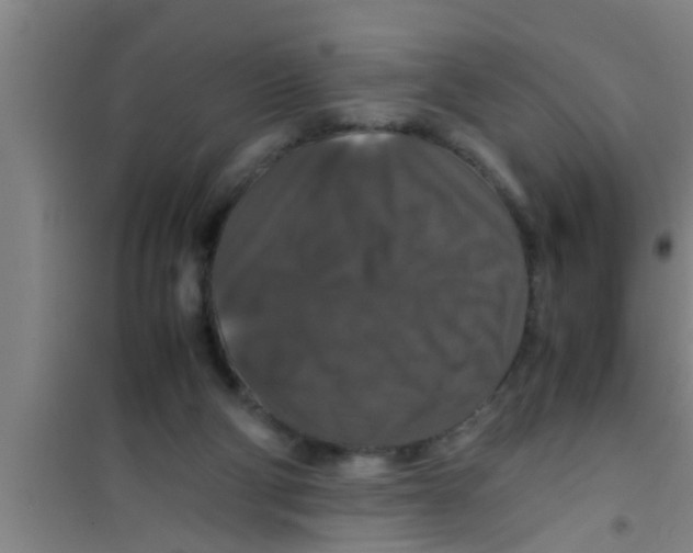 X0000100400114200807032023
