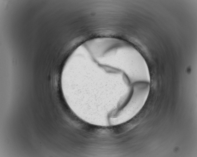 X0000100400115200807032023