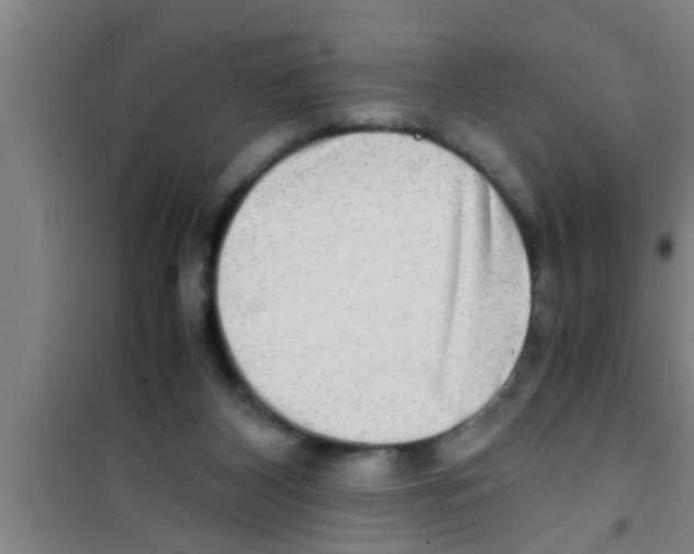 X0000100400116200807032023