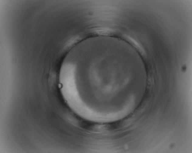 X0000100400117200807032023