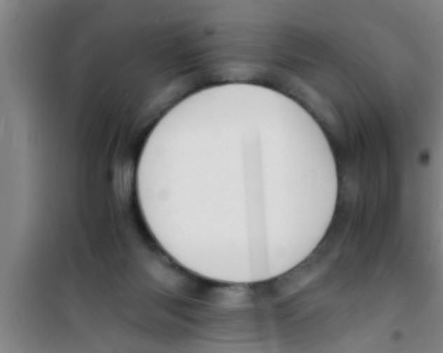 X0000100400118200807032023