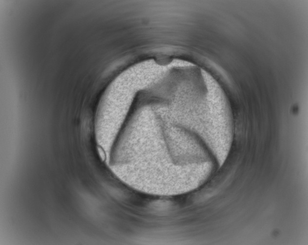X0000100400119200807032023