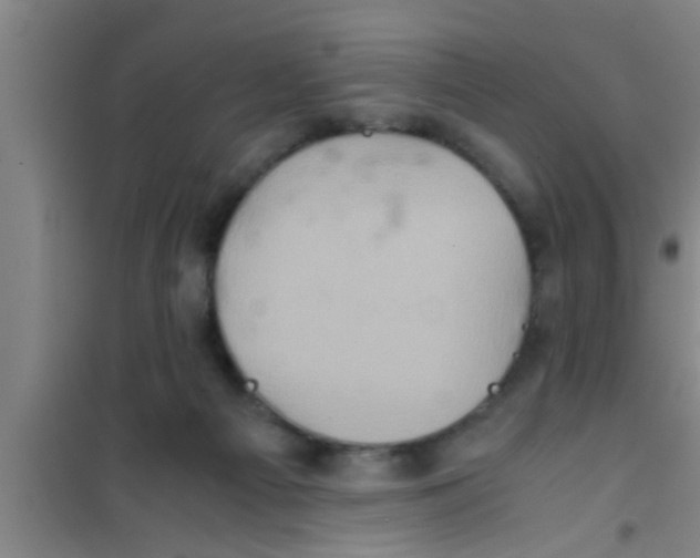 X0000100400121200807032023